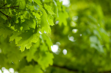 Similar image 678324