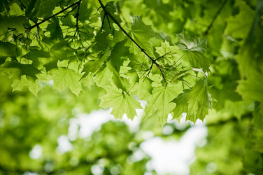 Similar image 678325