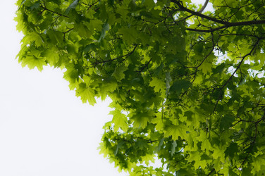 Similar image 678326