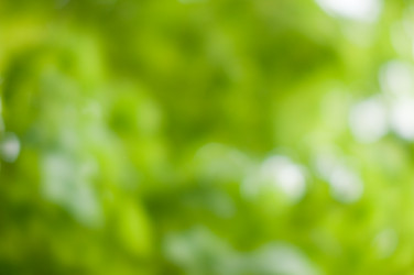 Similar image 678327