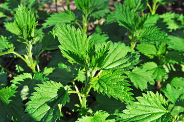 Similar image 678328