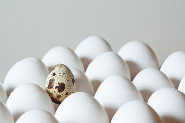 Similar image 678351