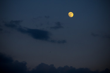 Similar image 678391