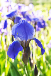 Similar image 678393