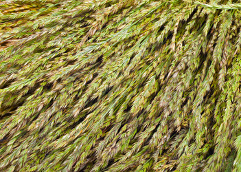 Similar image 678400