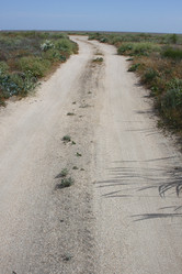 Similar image 678418