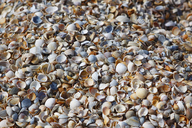 Similar image 678442