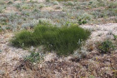 Similar image 678444