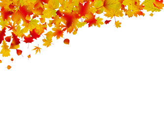 Similar image 678505