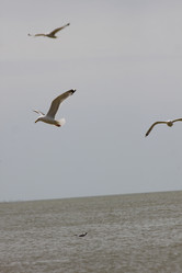 Similar image 678593