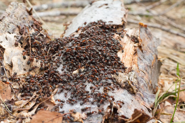 Similar image 678691