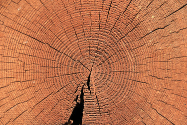 Similar image 678694