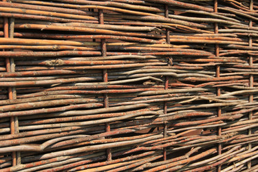 Similar image 678706