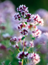 Similar image 678736