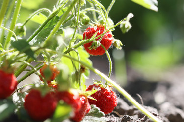 Similar image 678841