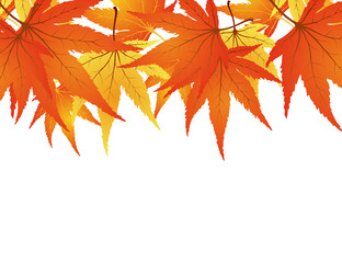 Similar image 678974