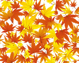 Similar image 678984