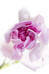 Similar image 679009