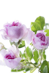 Similar image 679011