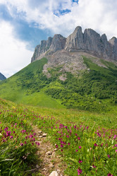 Similar image 679018