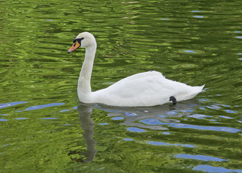 Similar image 679024