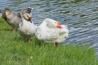 Similar image 679025