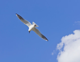 Similar image 679026