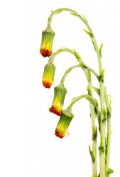 Similar image 679148