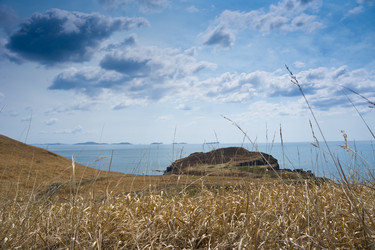 Similar image 679157