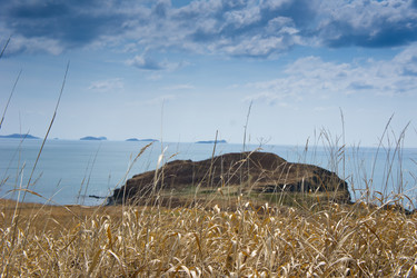 Similar image 679159