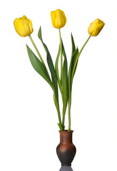 Similar image 679175