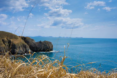 Similar image 679178