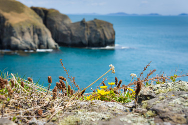 Similar image 679180