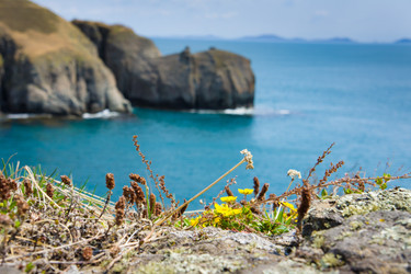 Similar image 679185