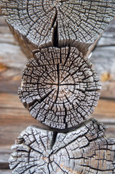 Similar image 679226