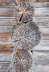 Similar image 679228