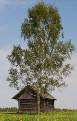 Similar image 679276