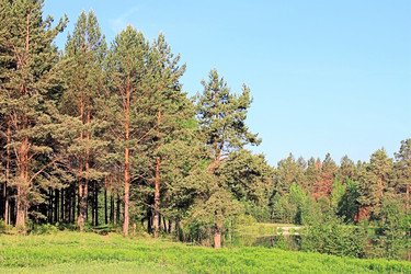 Similar image 679299