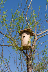 Similar image 679319