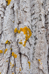 Similar image 679320