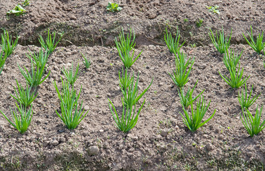 Similar image 679321