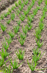 Similar image 679322