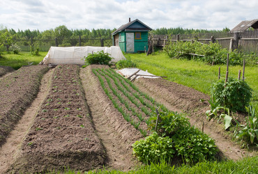 Similar image 679333