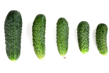 Similar image 679352