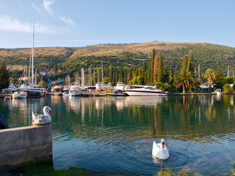 Similar image 679356