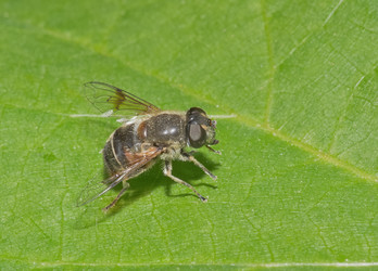 Similar image 679360