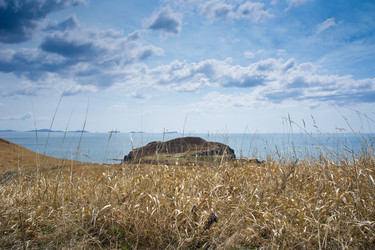 Similar image 679426