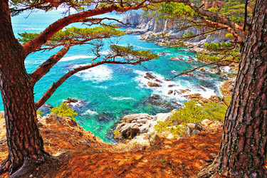 Similar image 679430