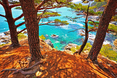 Similar image 679432