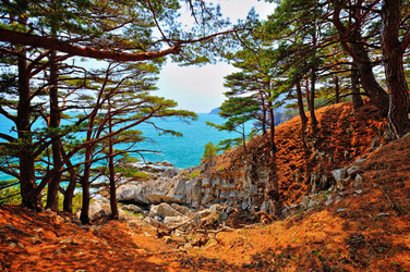 Similar image 679434